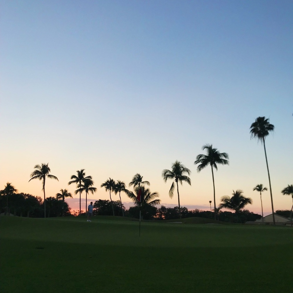 Meet your Posher, Robin